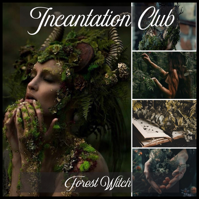 Incantation Club | Monthly Mystery Yarn Club | May Theme 3: Forest Witch