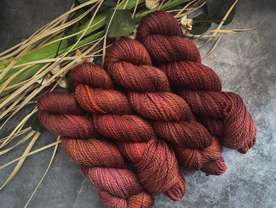 Cinnamon Apricot Spice - Adventure Aran BFL Base